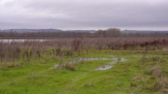 paysage de campagne avec un sale temps automnale, pr&eacute;sence de de grosses flaques d'eau avant l'arriv&eacute;e des inondations