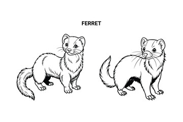 Editable Ferret Isolated Outline Vector Illustration