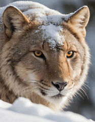 portrait of wild animals in snow, like tigers, lynxes, and wolves.