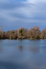 Trees in late autumn / fall on the lake Jannersee in Lauterach in Vorarlberg