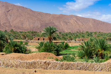 Desert valley in the Moroccan countryside near the Atlas Mountains