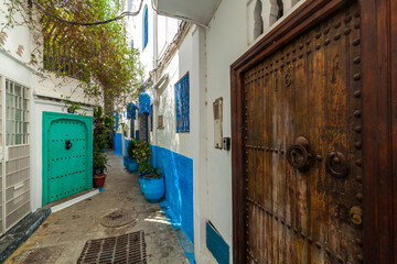 charming alleyway in a Mediterranean town, with whitewashed walls, vibrant blue doors, and potted plants, creating a picturesque and inviting scene