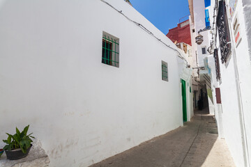Fototapeta premium narrow, sunlit alleyway between whitewashed buildings, punctuated by small windows and a green door, creating a peaceful and characteristic Mediterranean street scene