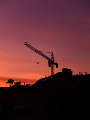 Crane at sunset 
