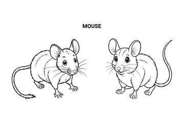 Editable Mouse Isolated Outline Vector Illustration