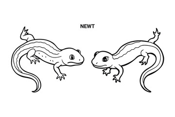 Editable Newt Isolated Outline Vector Illustration