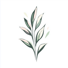 Obraz premium Cute minimalistic plant illustration on white background 