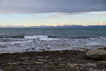 One Winter Day on the Coast III