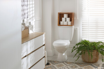 Toilet bowl, rolls of paper and houseplant in restroom