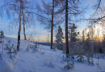 Magnificent snow-covered forest on the mountain, bright rays of sunset illuminate the treetops and snow.