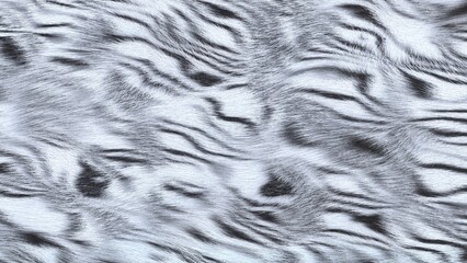 White tiger fur texture created by procedural geometric 3D rendered stripes and photorealistic hair materials.