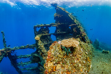 Tropical fish around a huge, old underwater shipwreck in a clear, blue water (USAT Liberty, Bali)