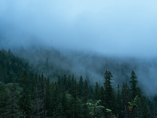 fog in the mountains