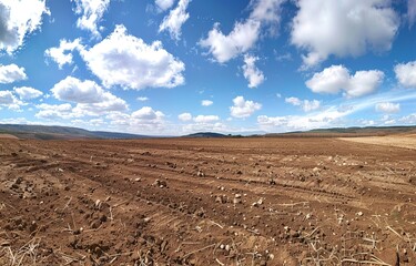 Vast, plowed farmland under a brilliant blue sky dotted with fluffy white clouds.  A tranquil scene of rural landscape.