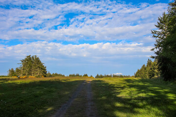 Sunny Autumn Day in the Pacific Northwest, of Washington State
