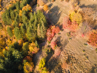 Rhodope mountain near village of Borovo, Bulgaria