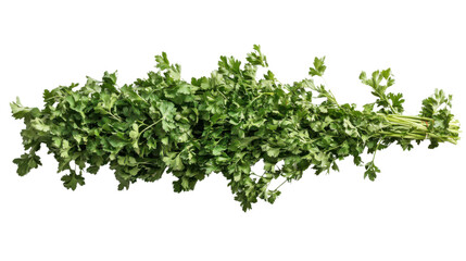 Obraz premium Parsley, transparent background