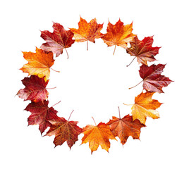 Fototapeta premium Autumn leaf wreath in vibrant red, orange, and yellow colors, circular fall foliage arrangement for seasonal decoration isolated on transparent background