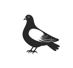 Obraz premium silhouette of a pigeon on white