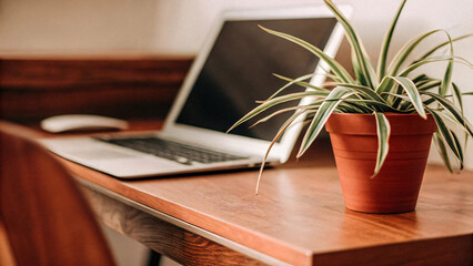The open laptop with a blank screen rests on a wooden table, ready for work in vintage room design
