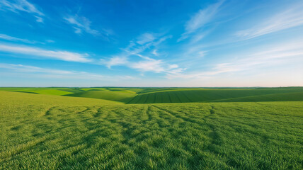 Fototapeta premium Vast green fields under a bright blue sky with clouds