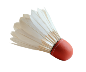 Traditional feather shuttlecock with a red leather base, lightweight sports equipment for badminton or recreational play, classic design isolated on transparent background