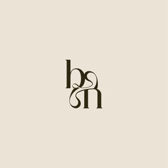 dynamic line monogram logo luxurious concept BN elegant wedding letter