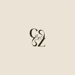 dynamic line monogram logo luxurious concept CZ elegant wedding letter