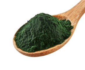 Wooden spoon with spirulina powder, natural green superfood, organic nutritional supplement for health, vibrant antioxidant ingredient for cooking and smoothies isolated on transparent background