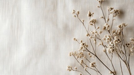 Dry Flower Arrangement on Beige Background for Minimalist and Aesthetic Decor