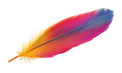 Vibrant rainbow feather with soft gradient shades of pink, yellow, blue, and orange, artistic and nature-inspired delicate design isolated on transparent background
