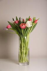 Beautiful bouquet of colorful tulips in glass vase on beige background