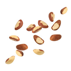 Many Brazil nuts in air on white background