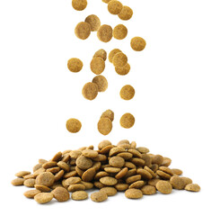 Dry pet food falling onto heap on white background