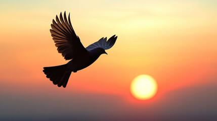 Obraz premium A single soaring bird silhouette against vibrant sunrise, symbolizing freedom and success in business
