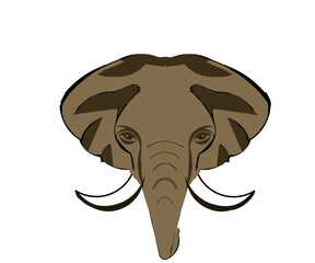 elephant cartoon illustration