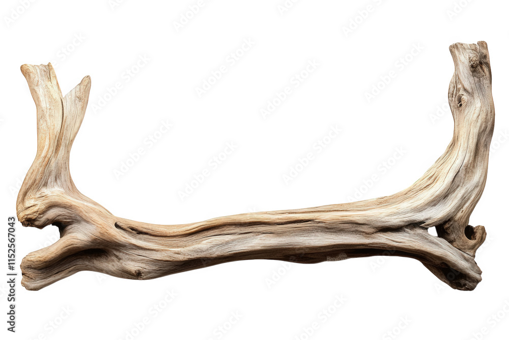 Poster a weathered piece of driftwood with a natural. rustic. and organic shape it is isolated on a transpa