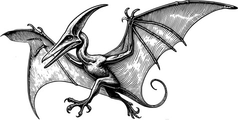 Pteranodon vector art © Koko
