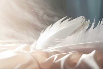 Fototapeta premium white feather on blue background