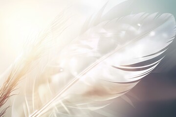 Fototapeta premium white feather on blue background