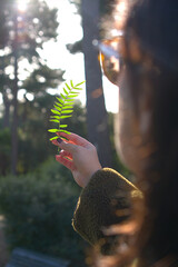 A delicate fern leaf held in a hand with a blurred, sunlit forest in the background. The sunlight creates a serene and warm atmosphere, symbolizing a connection to the natural world. 