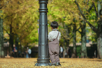 イチョウとぼく