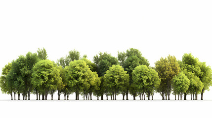 Obraz premium Treeline isolated on white background. horizontal panorama from green trees. 3d realistic illustration. Treeline. Illustration