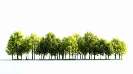 Obraz premium Treeline isolated on white background. horizontal panorama from green trees. 3d realistic illustration. Treeline. Illustration