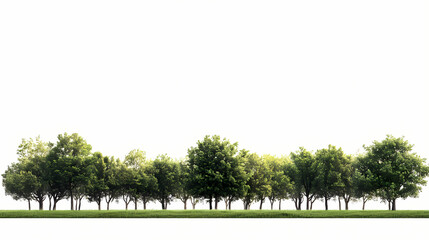 Obraz premium View of a high definition treeline isolated on a white background. with copy space image. place for adding text or design. Treeline. Illustration