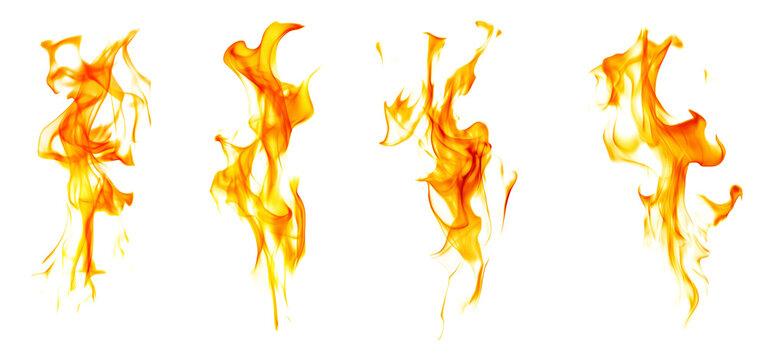 Fire flames isolated on white background