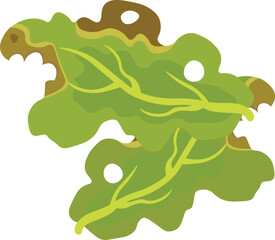 Food Waste, Not Waste