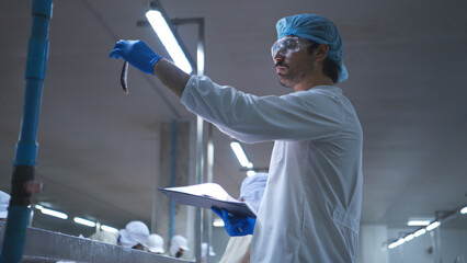 Raw material quality inspectors evaluate and inspect fish pieces before they enter the canned fish production process