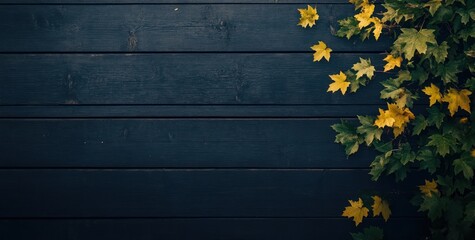 Fototapeta premium Autumn leaves on dark wood background.