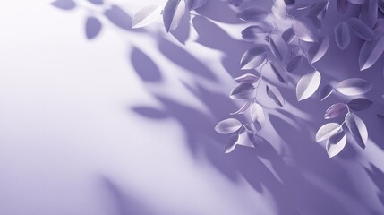 Pale purple leaves cast shadows on a light purple background.